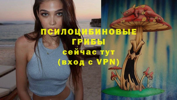 прущие грибы Алексин