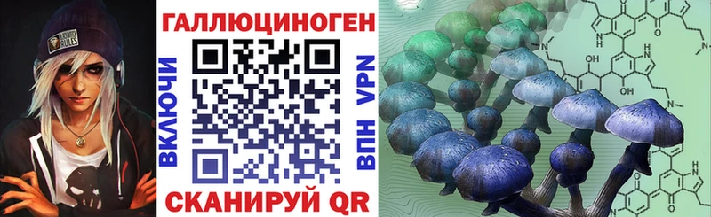 Галлюциногенные грибы Psilocybe  купить наркоту  Гусь-Хрустальный 